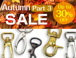 Autumn Sale Part 3 <Hardware>