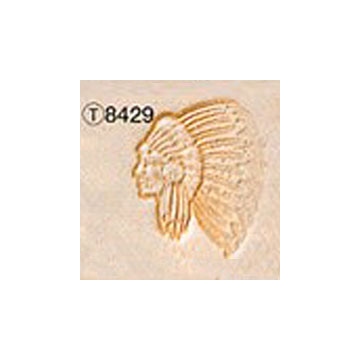 Pictorial Stamp（Indian Chief）