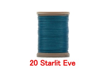20 Starlit Eve
