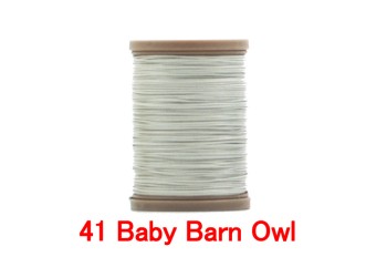 41 Baby Barn Owl