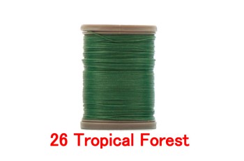 26 Tropical Forest