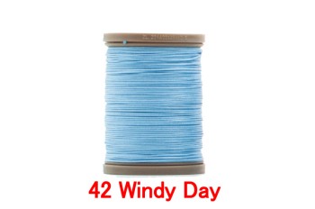 42 Windy Day