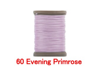60 Evening Primrose