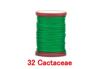 32 Cactaceae