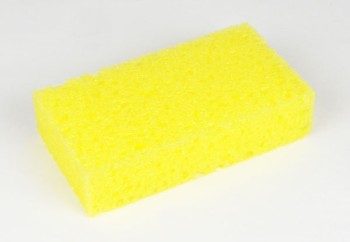 Sponge